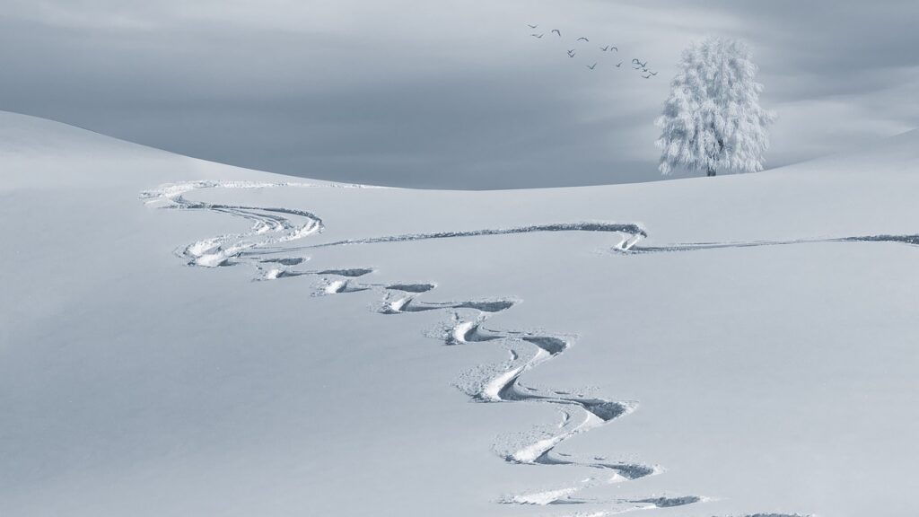 スノーボードの滑走ラインの画像