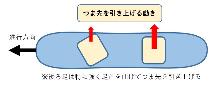 つま先上下の動き