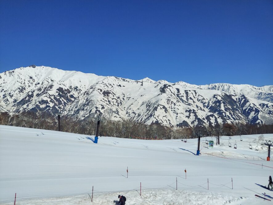 白馬五竜スキー場のコース